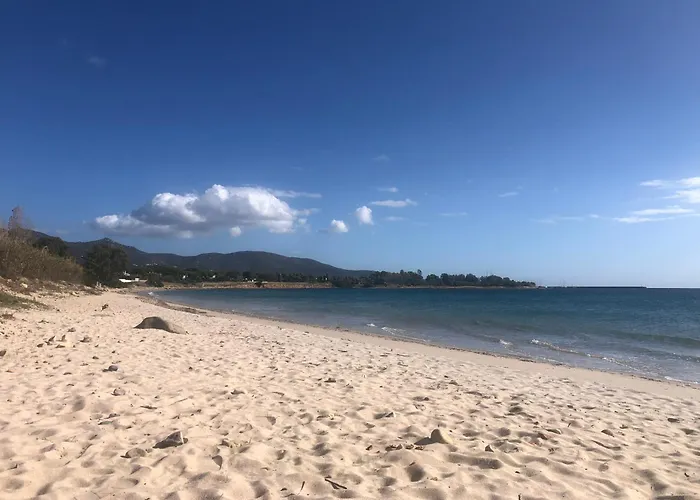 Cody Dom wakacyjny *